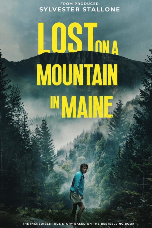 Lost on a Mountain in Maine 2024 (MULTI AUDIO) 720p HDCAM (Voice Over) X264