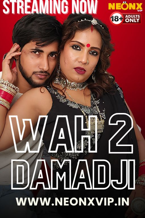 Wah Damad Ji 2 2024 NeonX Hindi Short Film 1080p | 720p | 480p HDRip Download