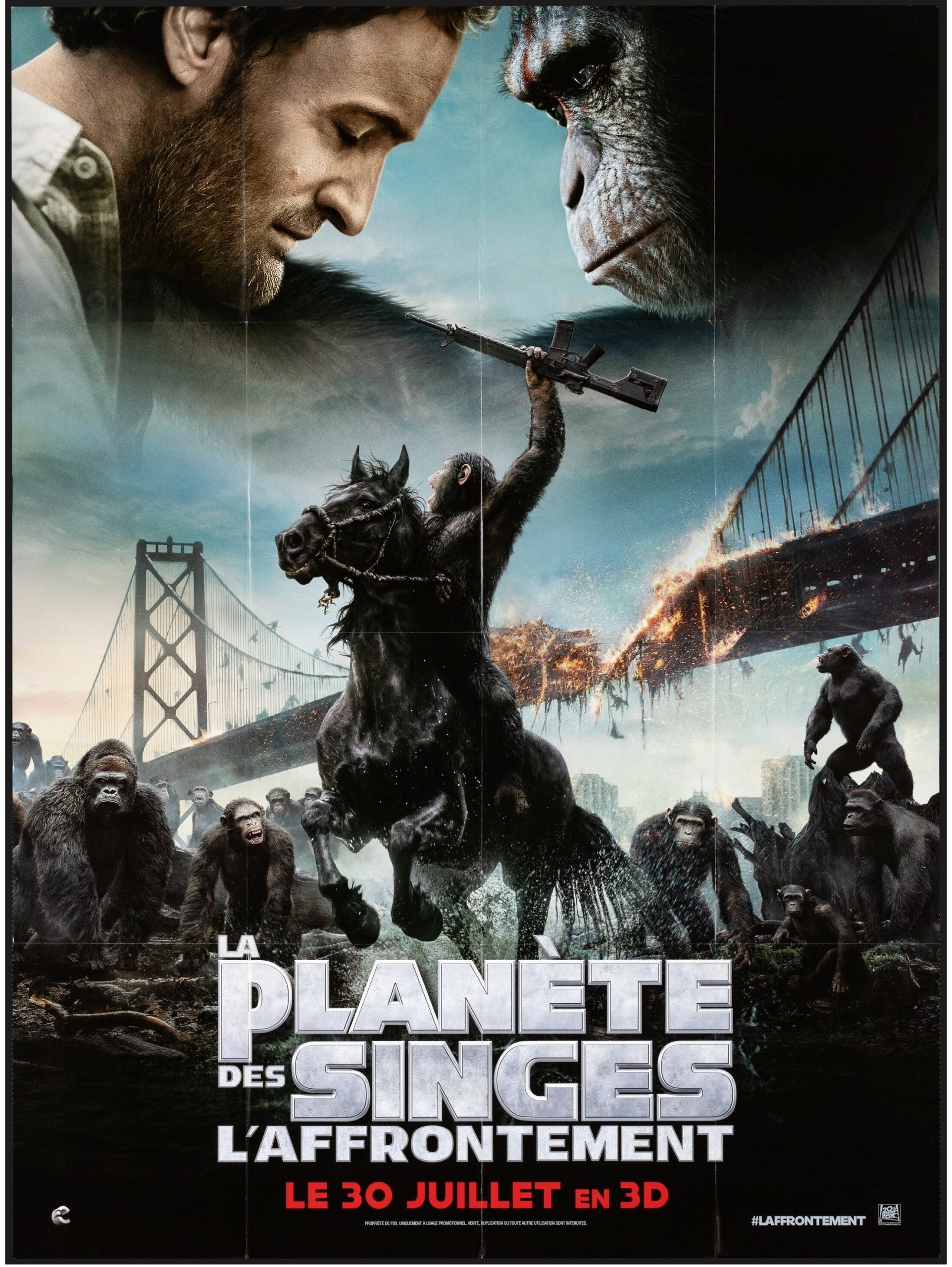 Dawn of the Planet of the Apes 2014 Hindi Dual Audio 1080p | 720p | 480p BluRay ESub Download